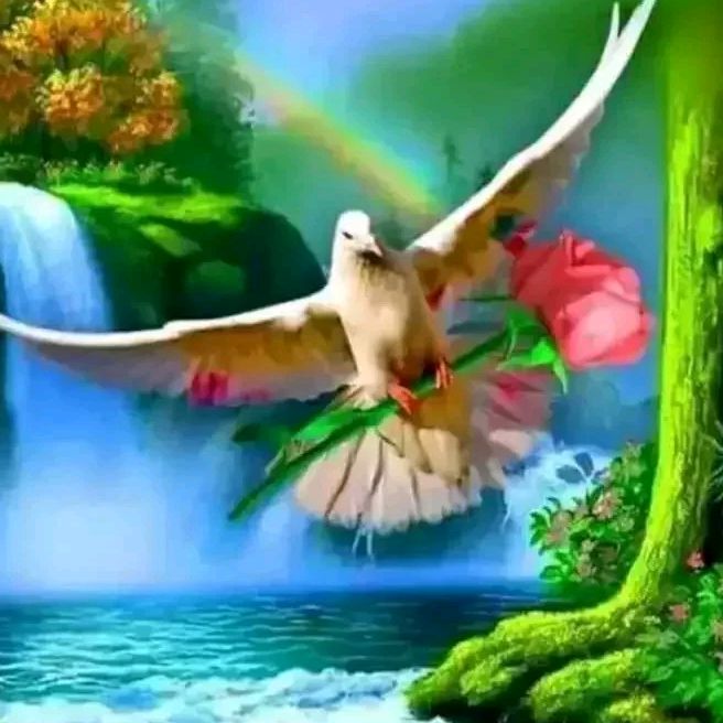 user5847076058160hna