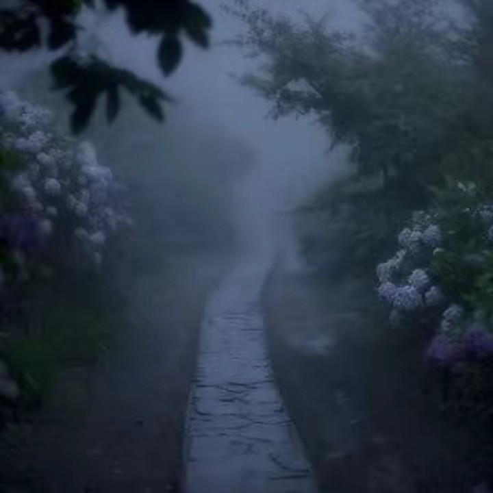 𝓢𝓪𝓷𝓪🐦‍⬛