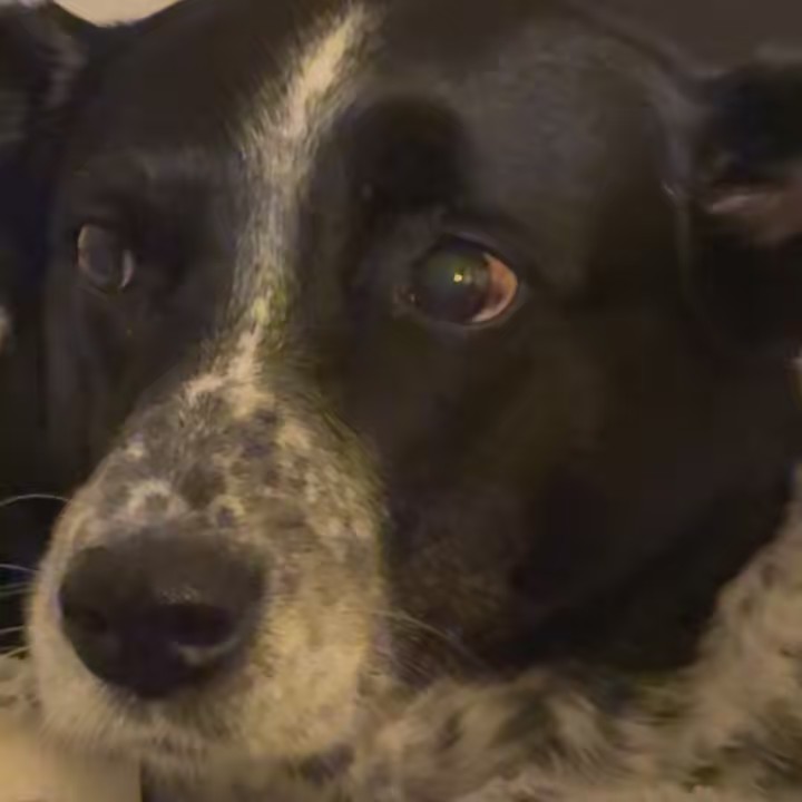 Ya girl Chris 🧿🫶🏽