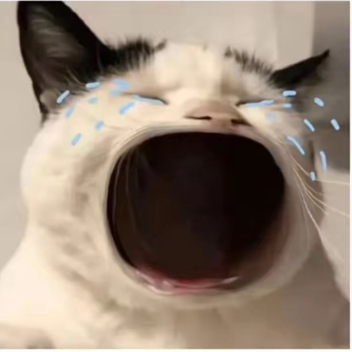 ౨ৎʈɦɑɲɦ•ʈɦư🎀