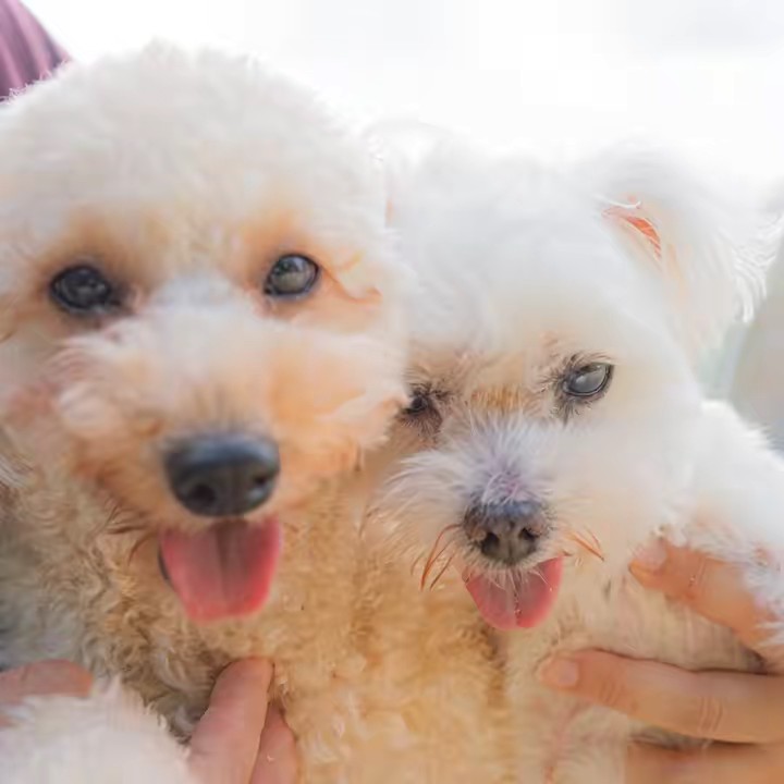 おはちゃん💕トトロ君