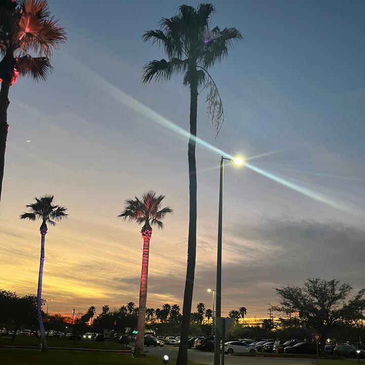 ♛ℒ𝒾𝓏ℯ𝓉𝒽 ♛