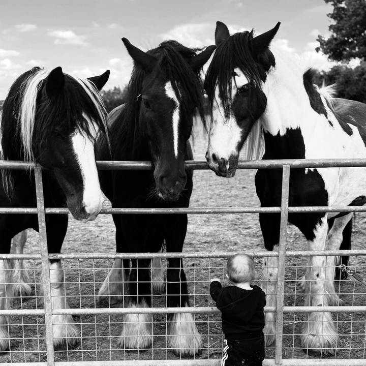 Lisas billbundleup savings