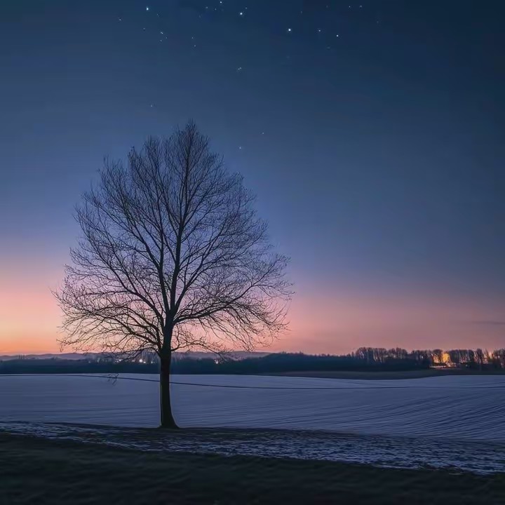 𝓰𝓰𝓼𝓹𝓲𝓷𝔁𝓸