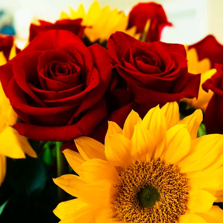 ❤___शक्ति___❤