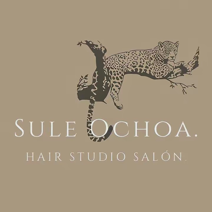suleochoa.hairstudiosalon