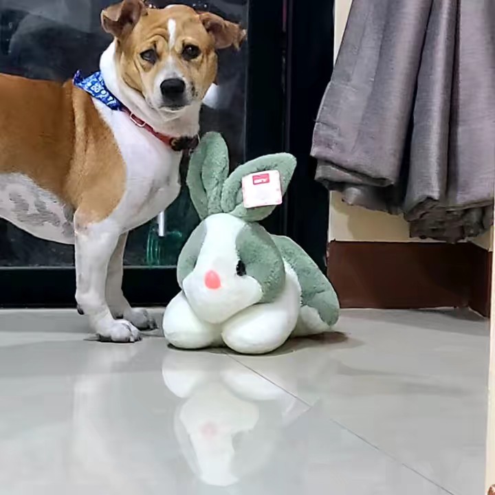 เหนือสายรุ้ง