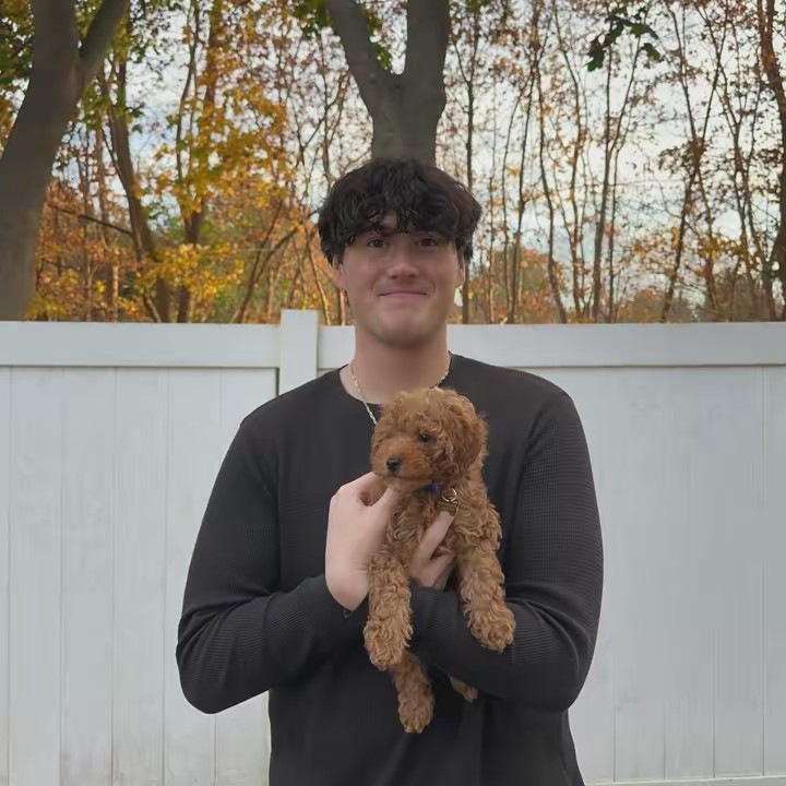 kyle ciauri