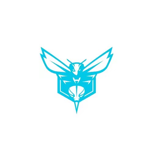 Charlotte Hornets