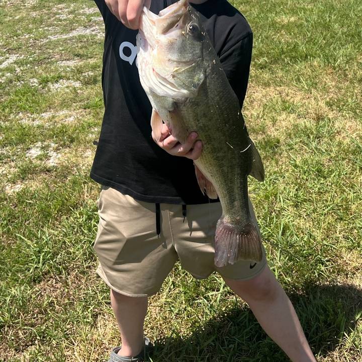 𝙂𝙖𝙫𝙞𝙣 ♱