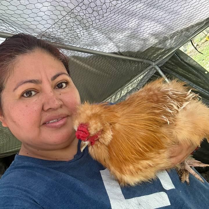 Kaki, la mamà de Los pollitos