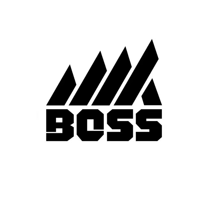 Mr Boss Store