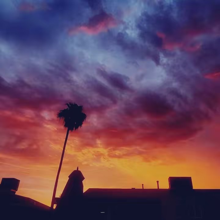 ꧁༒ᏢϴᏞᎪᎡ༒꧂