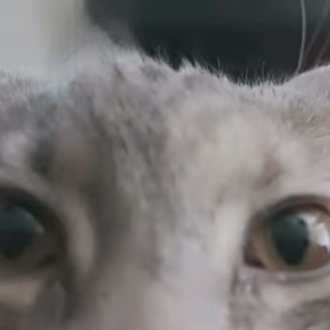 Oliver, Misty, Soul & Bruce