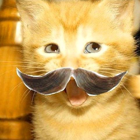 𝘭𝘪𝘵𝘵𝘵𝘭𝘦 ࣪ ˖