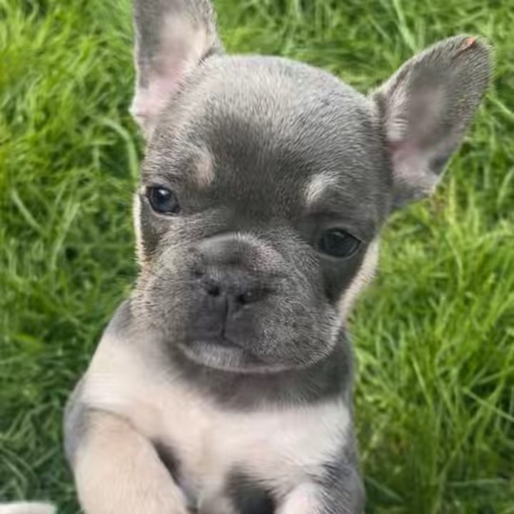 Pamela & Hugo 🩵🏴󠁧󠁢󠁳󠁣󠁴󠁿