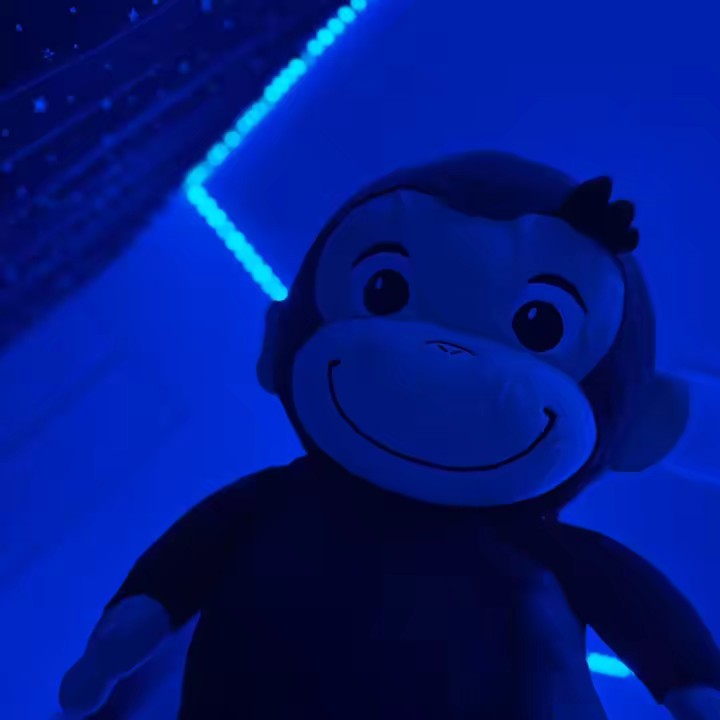 🌺 𝓲𝓬𝓱𝓴𝓲𝓷𝓰🐉