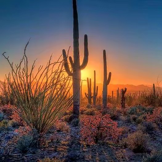 ร้าน Good shopping.