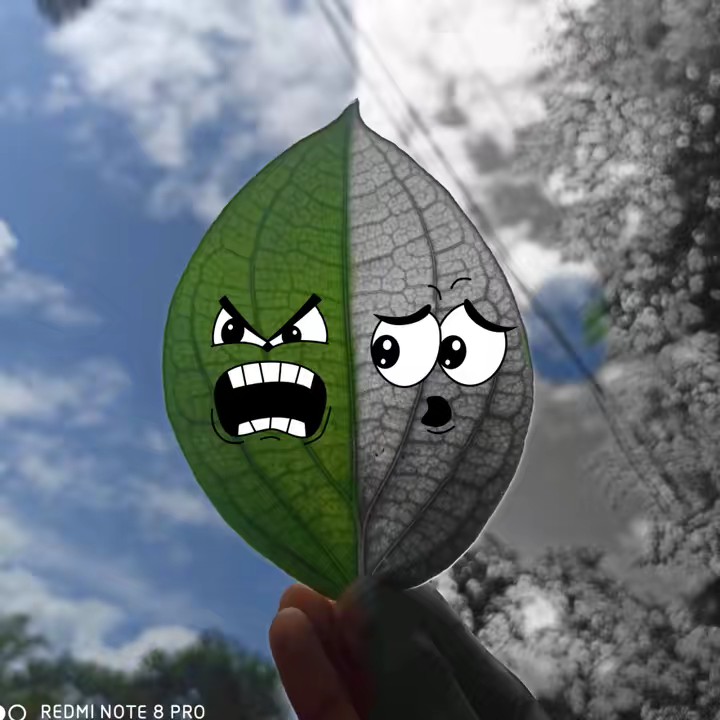 കിറുക്കന്റെ 💞പെണ്ണ്