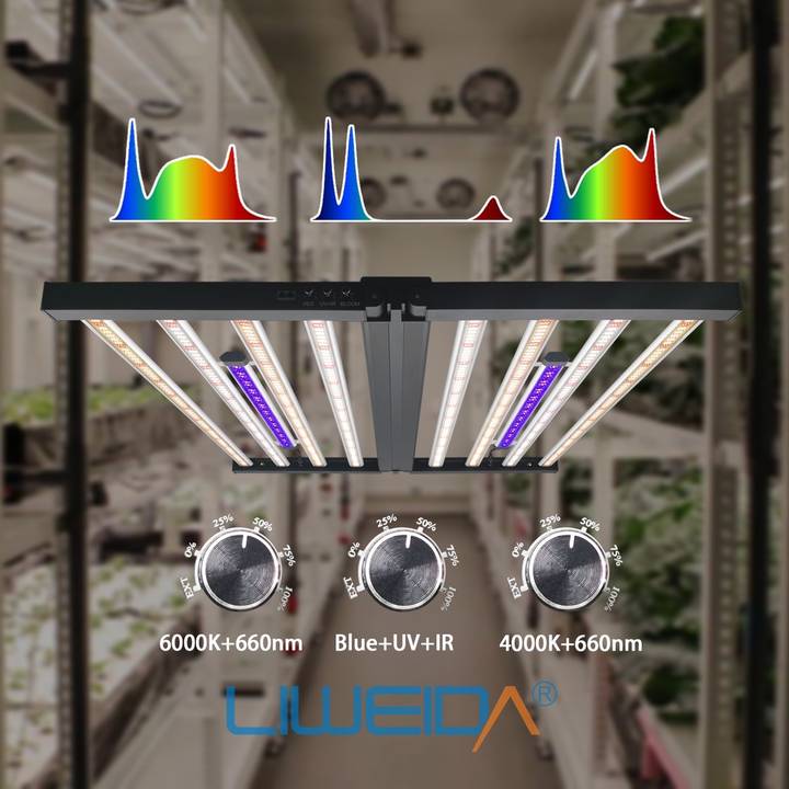 Cusomik led lighting