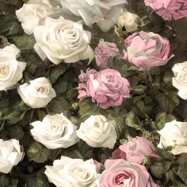 🎀🪷Lagertha🪷🎀