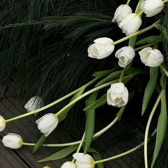 𝙽𝙶𝙰𝙰𝙽💙