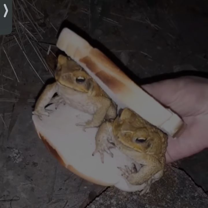 ⠀ ⠀ ⠀ ⠀ ⠀ ⠀