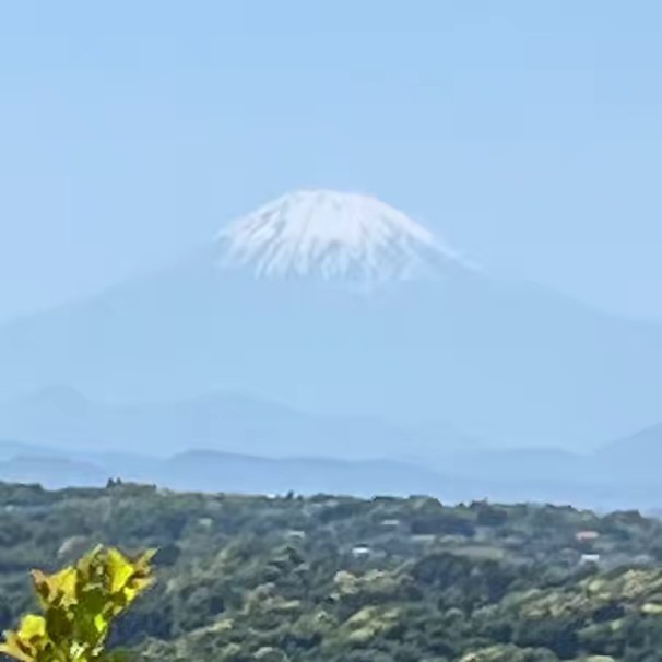 仁成堂鍼灸治療専門院