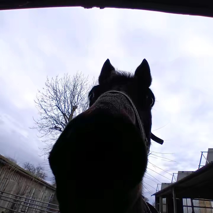 👑🌺 Bella & Emma 🌺👑