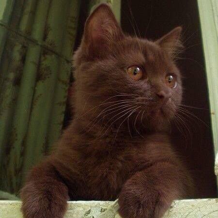 Lili 👩‍❤️‍💋‍👩