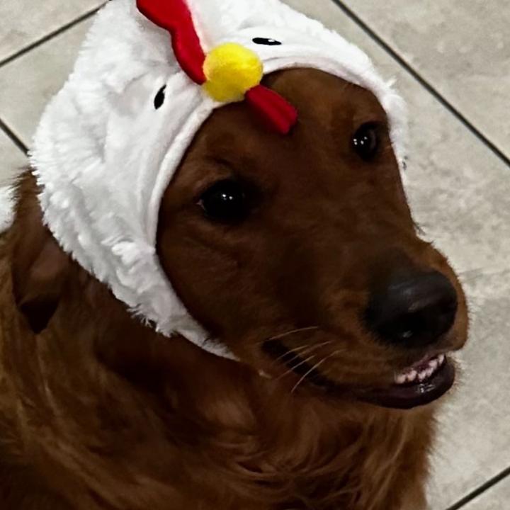 Heaven Is A Place On Earth