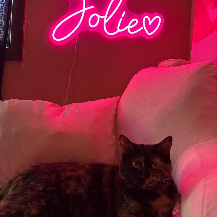 Jolie