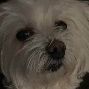 flop era😜😜😜