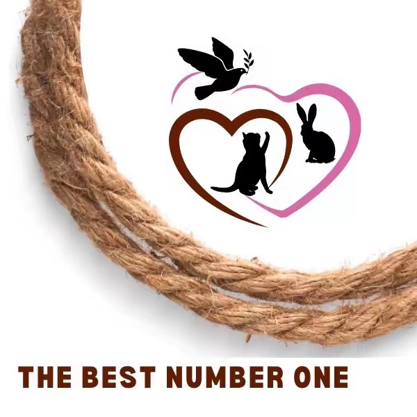 เดอะเบสนัมเบอร์วัน