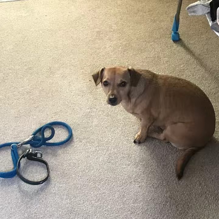 bailey old account😭😭