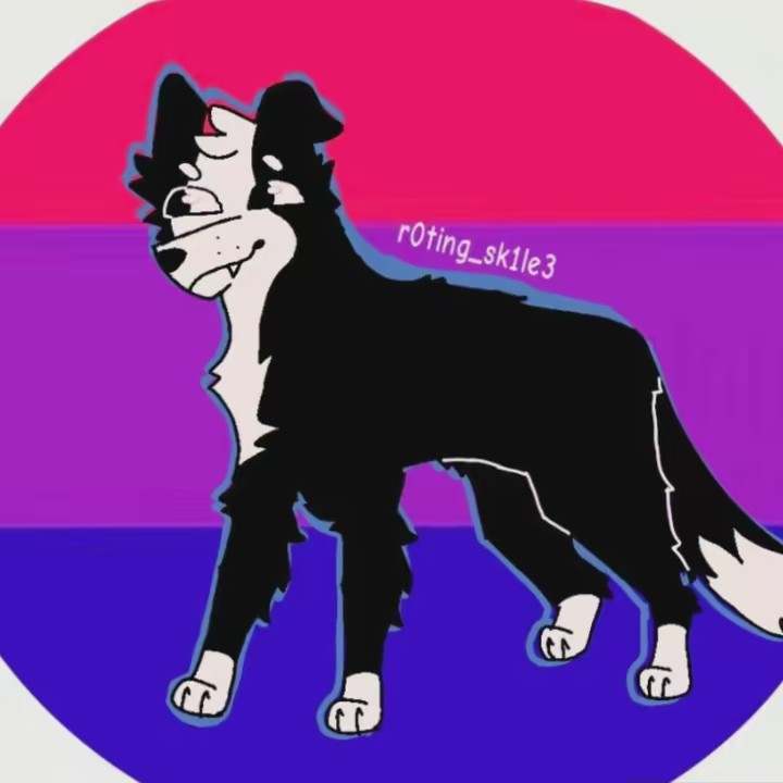 ✩_🐕💗🍃vicki🍃💗🐕_✩