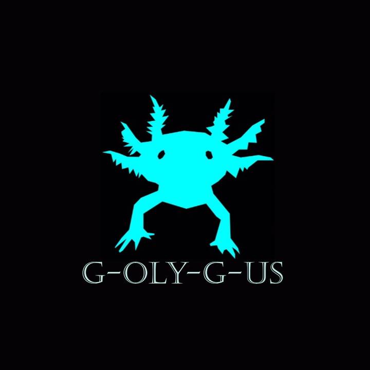 GOLYGUSFITNESS