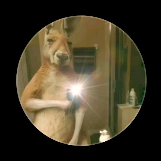 🙈💤Flakoo_FF🔥🙂‍↔️