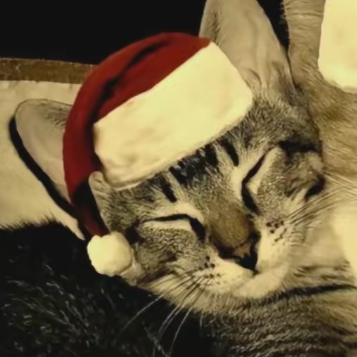 🪐˚ ༘ *ƈαɱ𓈒*🚏