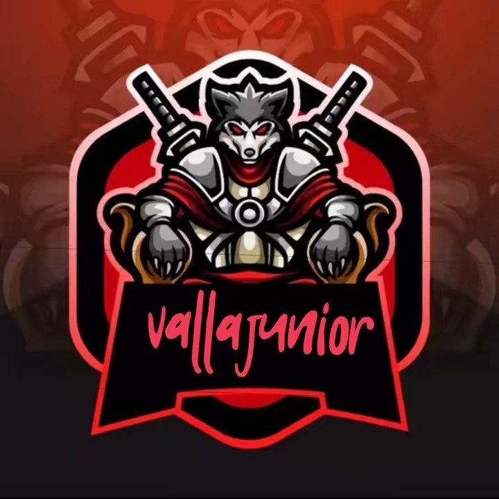Vallajunior