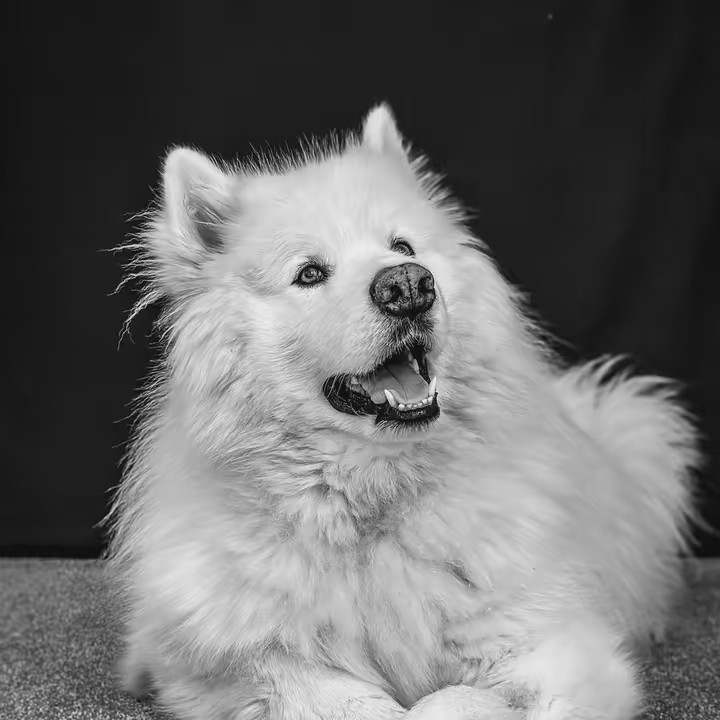 S T O R M 🆘🇺🇸