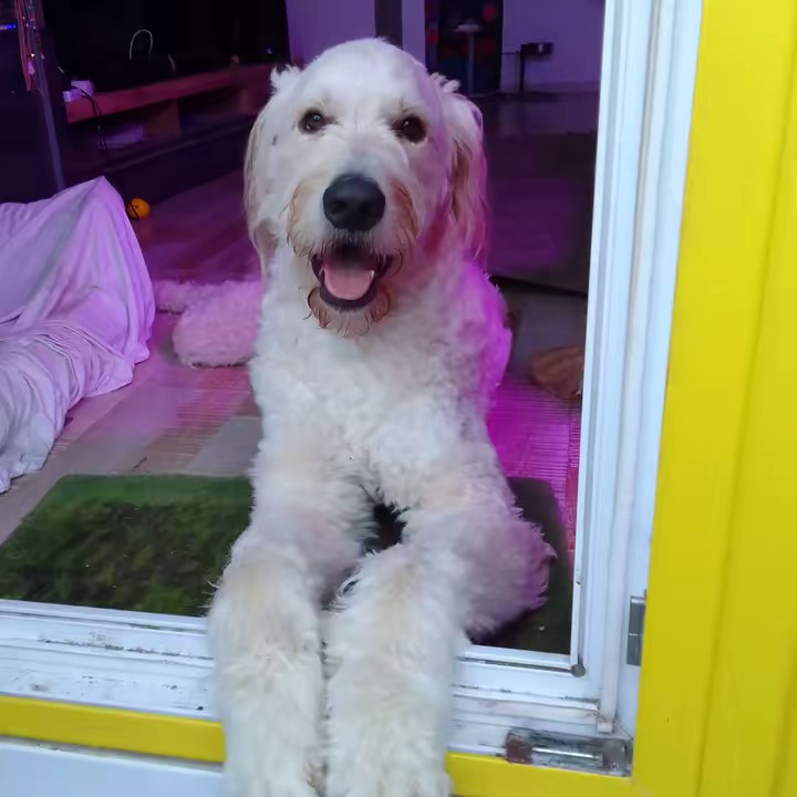 😍Slayerbab Esko 😍