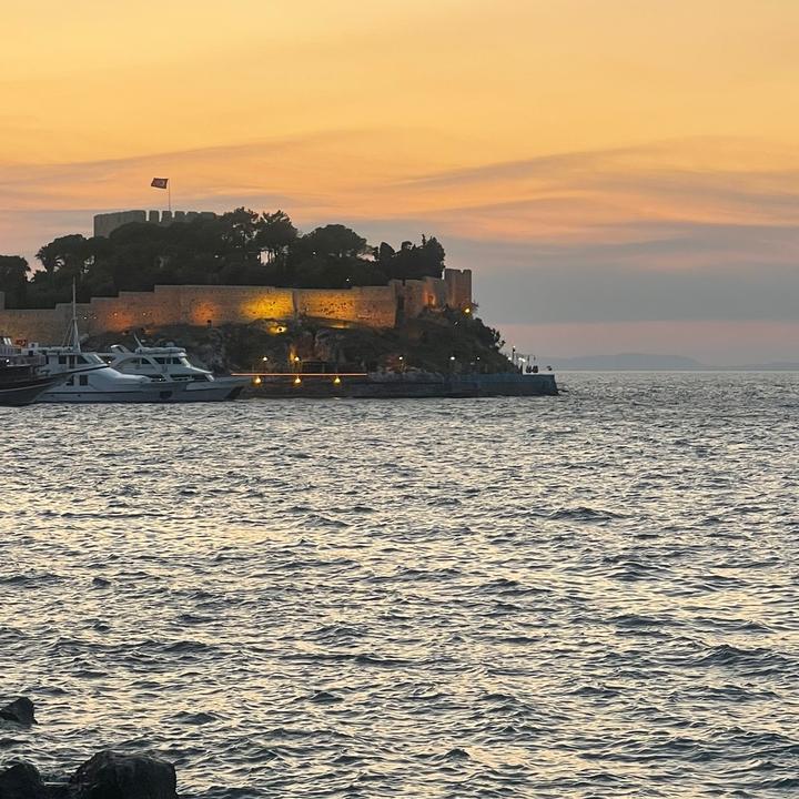 Showjumping💗💗💗