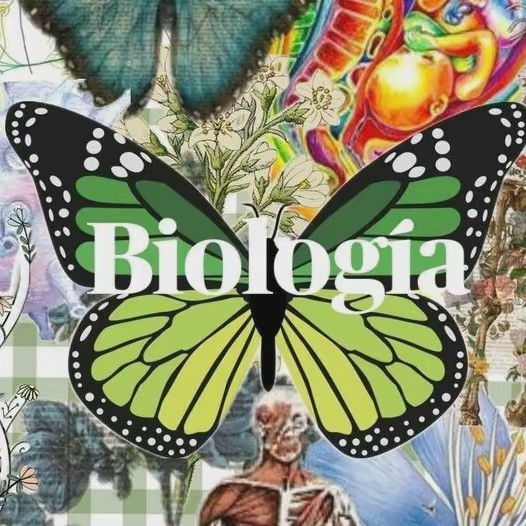 Biologia terrestre 💛💚🩵