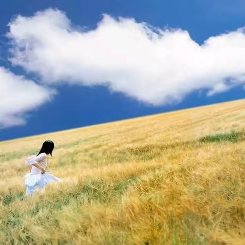 ร้านเด่นจัง