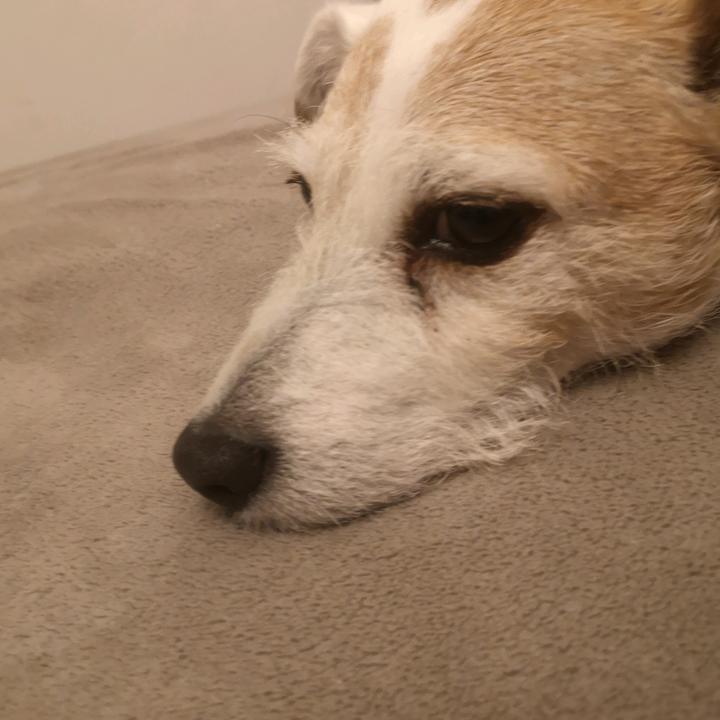 Minecraft building videos 🏢🏡