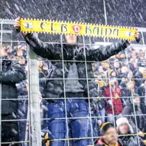 𝔈𝔩𝔟𝔣𝔩𝔬𝔯𝔢𝔫𝔷🖤💛