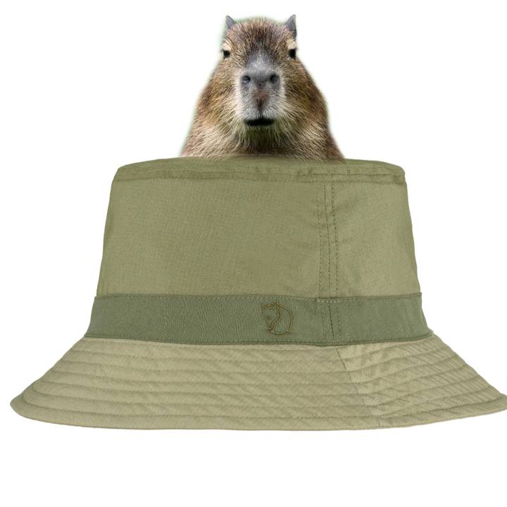 𖤐⃝ G҉O҉N҉T҉E҉X҉𖤐⃝   • Amis