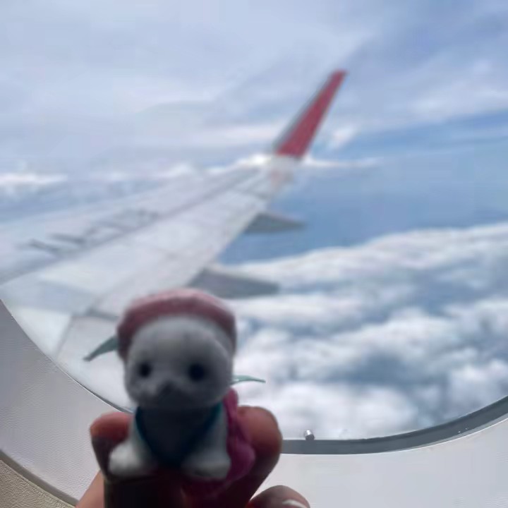 -🌷🌸Villa.Ternurin🌸🌷-