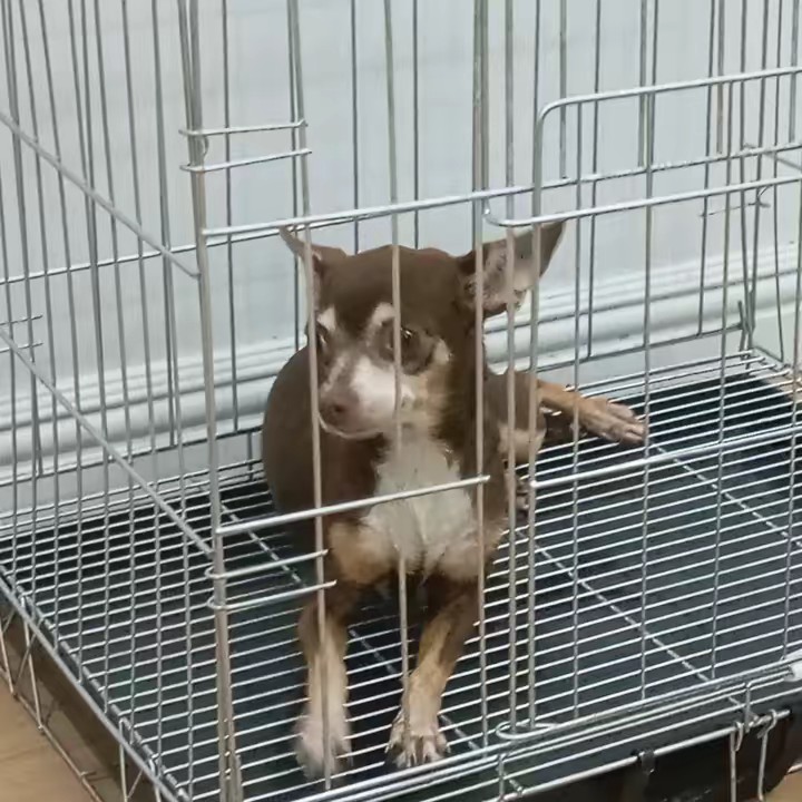 PRIMEHARBOR ONLINE SHOP